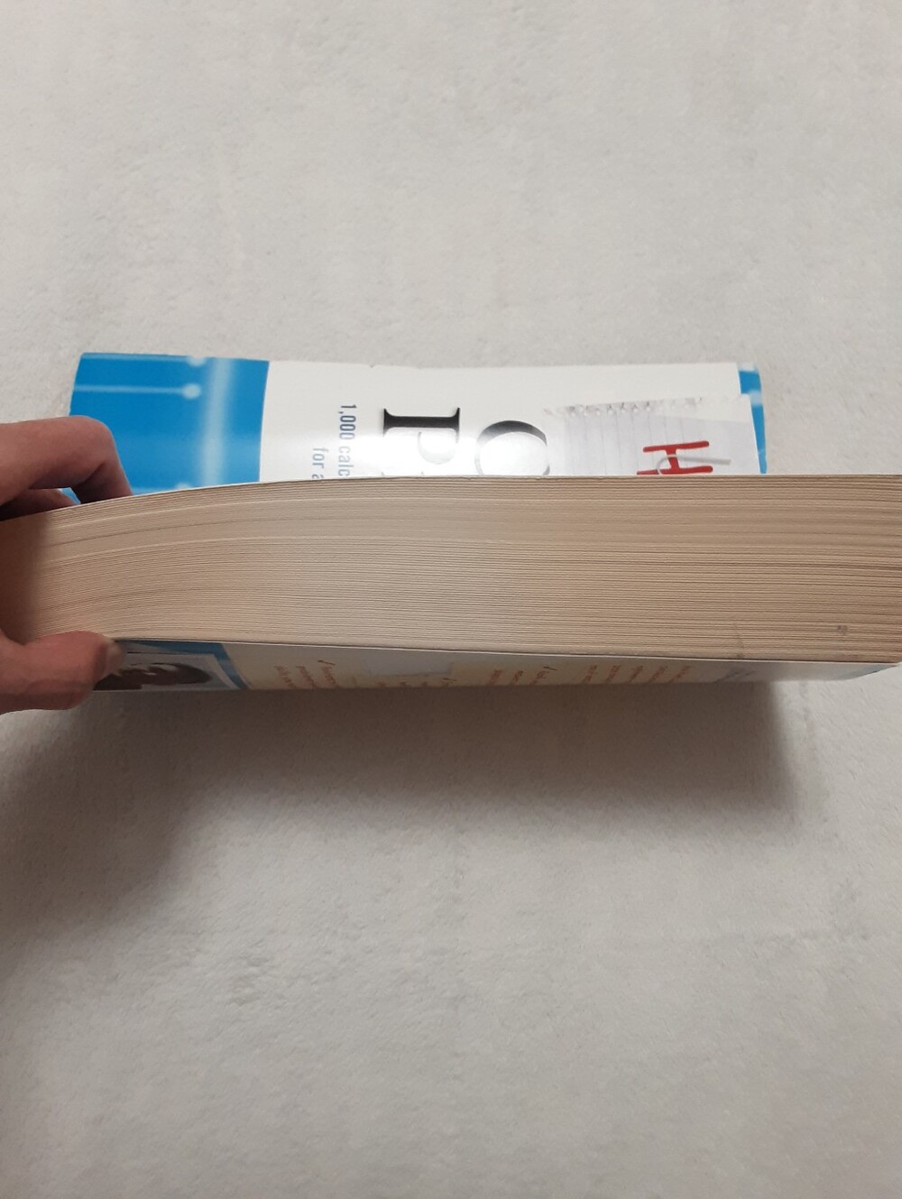Calculus Help Book - Picture 5 of 16